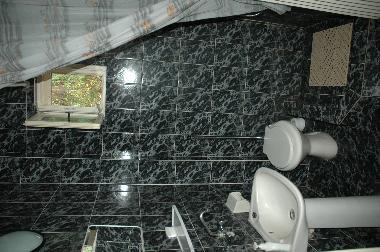 Villa in Sovata (Mures) oder Ferienwohnung oder Ferienhaus