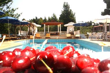 Der Pool, die Liegen mit Sonnenschirme und Relaxecke.