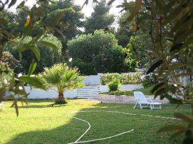 Der groe grne gepflegte Garten.