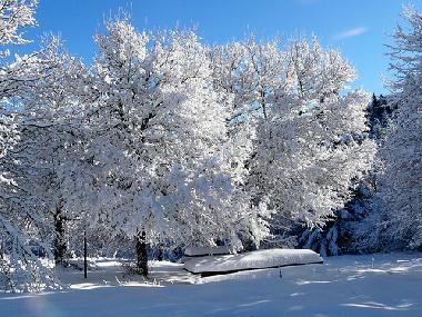 Ferienwohnung in Pescopennataro (Isernia) oder Ferienwohnung oder Ferienhaus