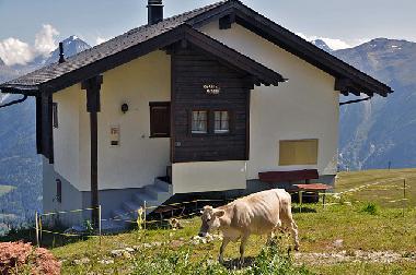 Ferienhaus in Fiesch (Aletsch) oder Ferienwohnung oder Ferienhaus