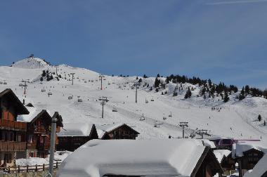 Ferienhaus in Fiesch (Aletsch) oder Ferienwohnung oder Ferienhaus