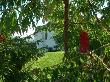 Ferienhaus in Montevarchi (Arezzo) oder Ferienwohnung oder Ferienhaus