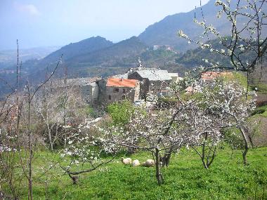 Ferienwohnung in San Giovanni di Moriani (Haute-Corse) oder Ferienwohnung oder Ferienhaus