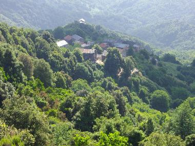Ferienwohnung in San Giovanni di Moriani (Haute-Corse) oder Ferienwohnung oder Ferienhaus