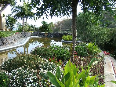 Ferienwohnung in Puerto de la Cruz (Teneriffa) oder Ferienwohnung oder Ferienhaus