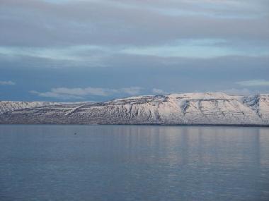 Ferienwohnung in Saudarkrokur (Skagafjardarsysla) oder Ferienwohnung oder Ferienhaus