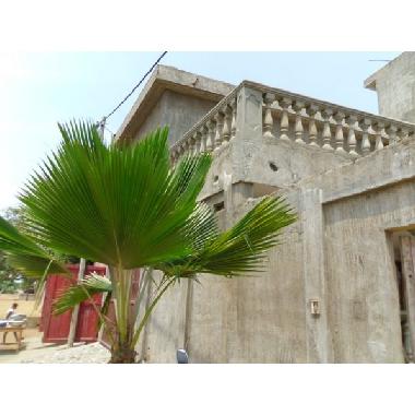 Ferienhaus in lom� (Lome) oder Ferienwohnung oder Ferienhaus