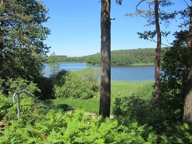 Blick vom Grundstck zum Barniner See 