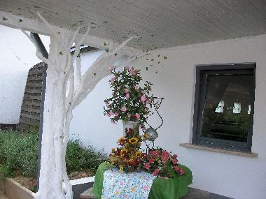 Ferienwohnung in Erbes Bdesheim (Rheinhessen) oder Ferienwohnung oder Ferienhaus