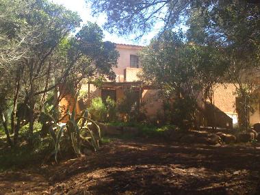 S�dseite Ferienhaus