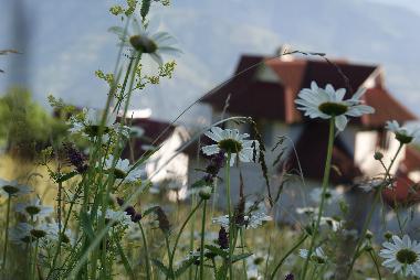 Ferienhaus in Rakhiv (Zakarpats'ka Oblast') oder Ferienwohnung oder Ferienhaus
