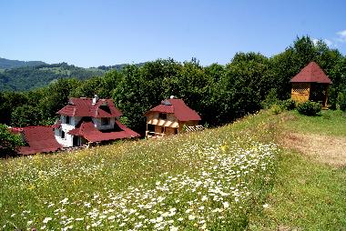 Ferienhaus in Rakhiv (Zakarpats'ka Oblast') oder Ferienwohnung oder Ferienhaus