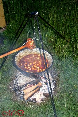 Ferienhaus in Rakhiv (Zakarpats