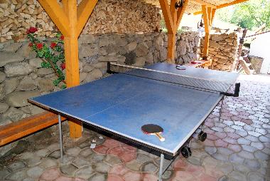 Ferienhaus in Rakhiv (Zakarpats