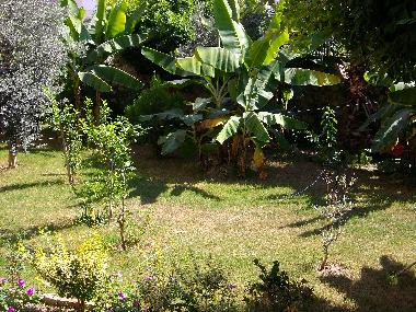 Ferienwohnung in Alanya (Antalya) oder Ferienwohnung oder Ferienhaus