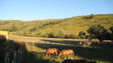 Ferienhaus in Quintodecimo  (Ascoli Piceno) oder Ferienwohnung oder Ferienhaus