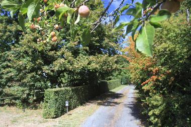 Ferienwohnung in Near Lautrec (Tarn) oder Ferienwohnung oder Ferienhaus