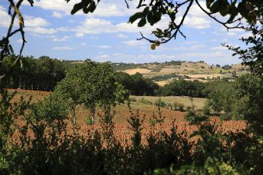 Ferienwohnung in Near Lautrec (Tarn) oder Ferienwohnung oder Ferienhaus