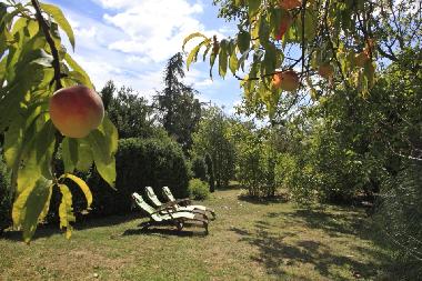 Ferienwohnung in Near Lautrec (Tarn) oder Ferienwohnung oder Ferienhaus