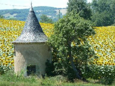 Ferienwohnung in Near Lautrec (Tarn) oder Ferienwohnung oder Ferienhaus