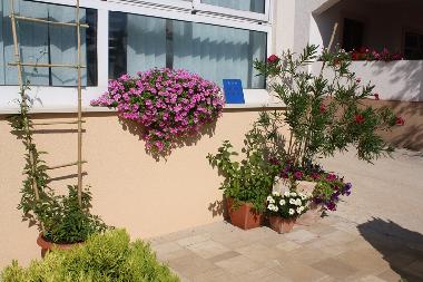 Ferienwohnung in Mandre (Zadarska) oder Ferienwohnung oder Ferienhaus