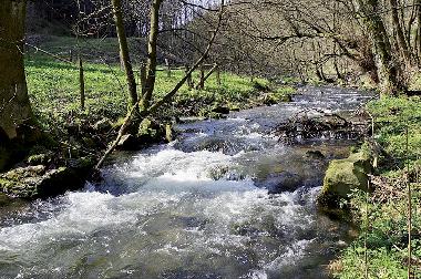 Bachlauf im Strycktal