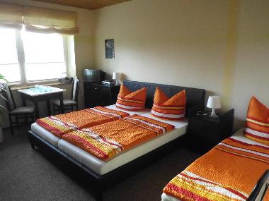 Ferienwohnung in Bad Frankenhausen (Harz/Unterharz) oder Ferienwohnung oder Ferienhaus