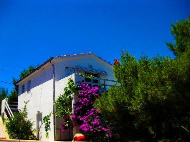 Ferienwohnung in Vis (Splitsko-Dalmatinska) oder Ferienwohnung oder Ferienhaus