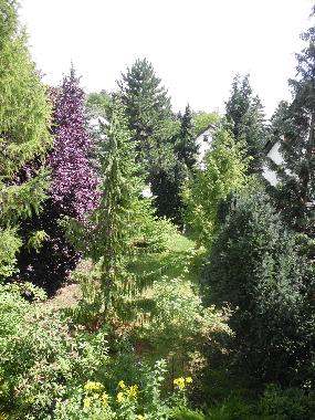 Ferienwohnung in Bad Frankenhausen (Harz/Unterharz) oder Ferienwohnung oder Ferienhaus