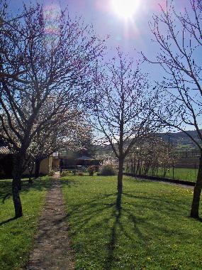 Ferienhaus in Puivert (Aude) oder Ferienwohnung oder Ferienhaus