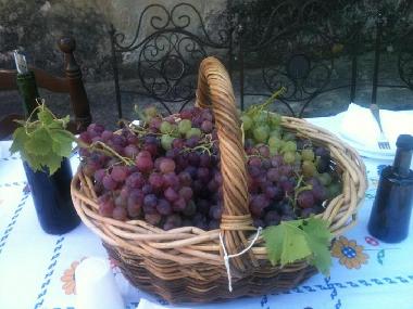 Ferienwohnung in Lucca (Lucca) oder Ferienwohnung oder Ferienhaus