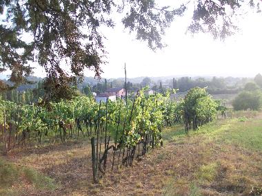 Ferienwohnung in Lucca (Lucca) oder Ferienwohnung oder Ferienhaus