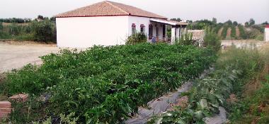 Ferienhaus in Posadas (C�rdoba) oder Ferienwohnung oder Ferienhaus