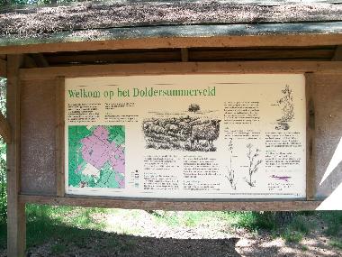 Chalet in Vledder (Drenthe) oder Ferienwohnung oder Ferienhaus