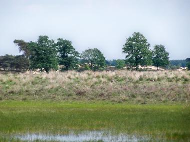 Chalet in Vledder (Drenthe) oder Ferienwohnung oder Ferienhaus