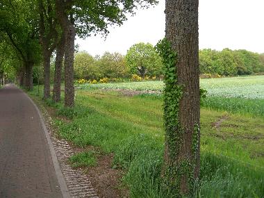 Chalet in Vledder (Drenthe) oder Ferienwohnung oder Ferienhaus