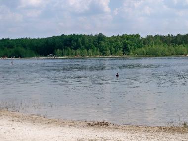 Chalet in Vledder (Drenthe) oder Ferienwohnung oder Ferienhaus