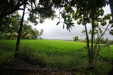 Ferienhaus in Kottayam (Kerala) oder Ferienwohnung oder Ferienhaus