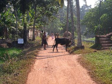 Ferienhaus in Kottayam (Kerala) oder Ferienwohnung oder Ferienhaus