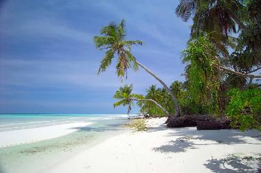 Ferienhaus in Gan (Laamu) oder Ferienwohnung oder Ferienhaus