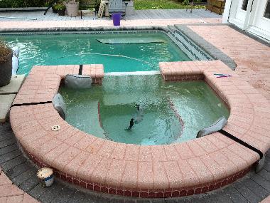 Pension in Clearwater (Florida) oder Ferienwohnung oder Ferienhaus