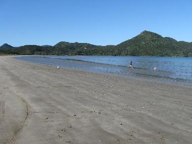 Ferienhaus in Kennedy Bay (Thames-Coromandel) oder Ferienwohnung oder Ferienhaus