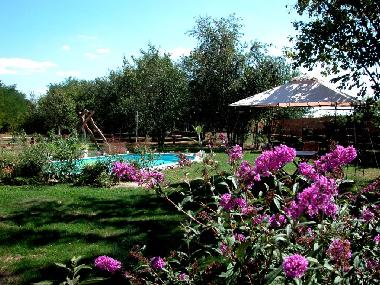 Ferienhaus in Nagydobsza (Baranya) oder Ferienwohnung oder Ferienhaus