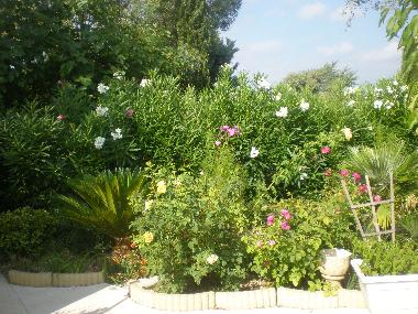 Villa in VIDAUBAN (Var) oder Ferienwohnung oder Ferienhaus