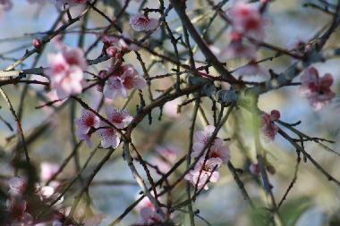 Villa in Portela de Vila Verde (Oeste) oder Ferienwohnung oder Ferienhaus