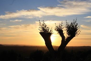 Villa in Portela de Vila Verde (Oeste) oder Ferienwohnung oder Ferienhaus