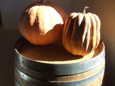 Ferienwohnung in Lanciano (Chieti) oder Ferienwohnung oder Ferienhaus