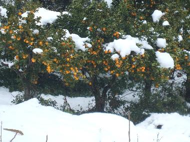 Ferienwohnung in Lanciano (Chieti) oder Ferienwohnung oder Ferienhaus
