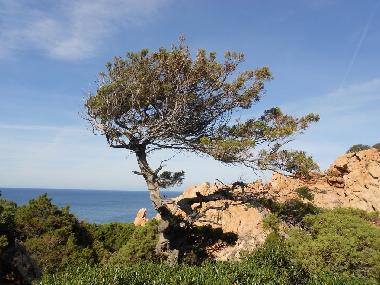 Villa in Trinit� D